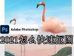 photoshop 2021快速抠图的操作方法，替换背景神器