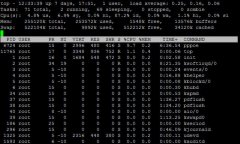 解析Linux常用性能检测top命令参数与使用