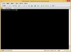 linux安装配置golang(开发语言)环境部署教程