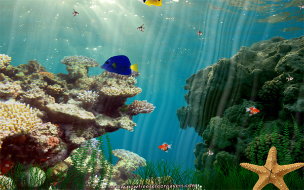海底世界动态3D屏保