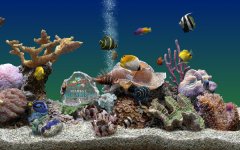 海底世界珊瑚礁3D动态屏保