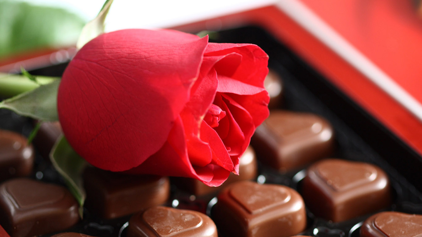 2015年2月14号情人节巧克力玫瑰花