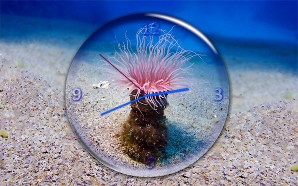 梦幻海底珊瑚时钟电脑屏保