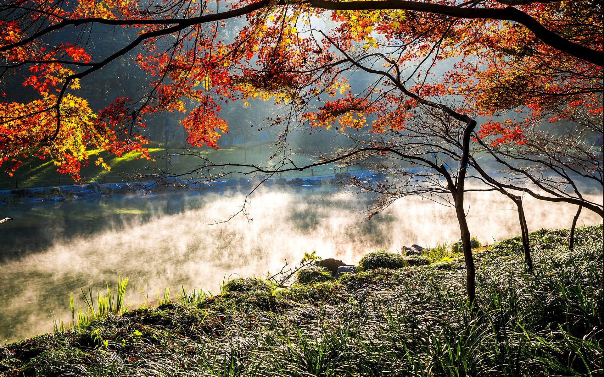 太子湾公园秋色自然山水美景图片