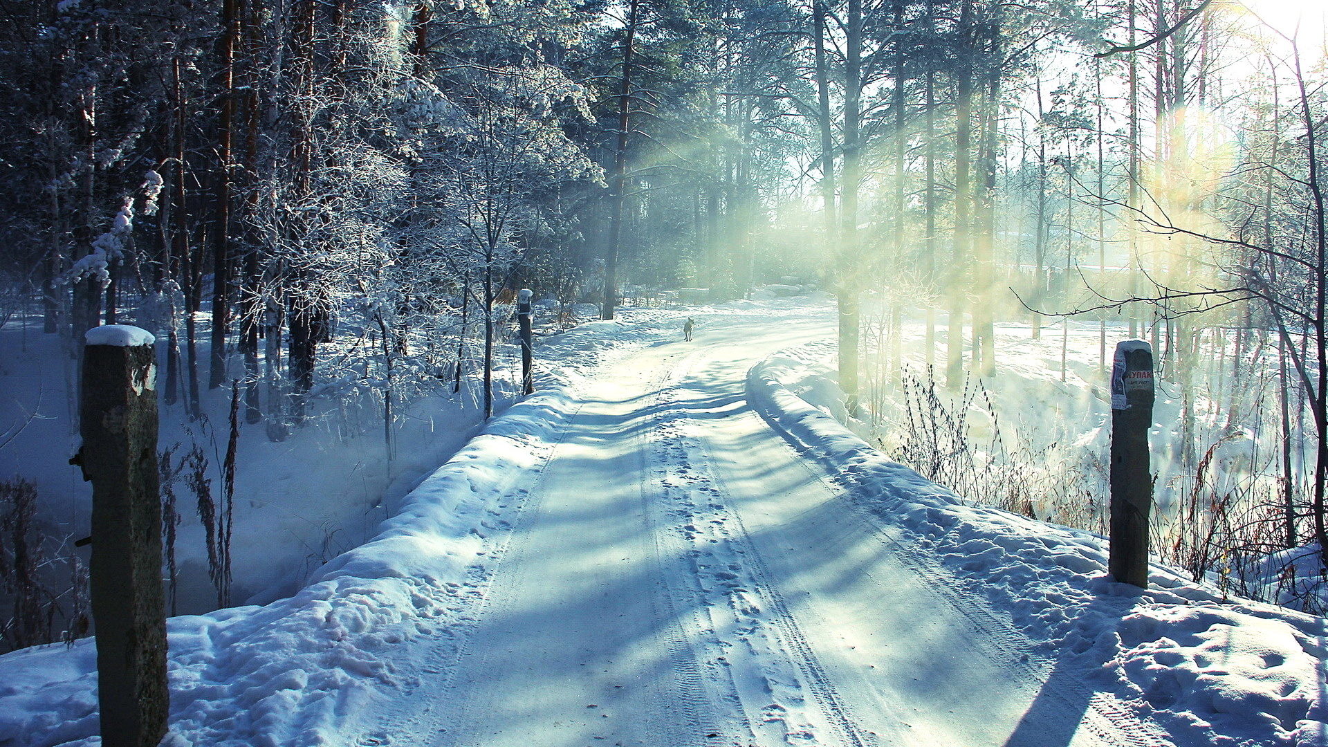 冬天来了！白雪皑皑大自然雪景桌面壁纸