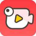 河豚小视频app v1.0.0