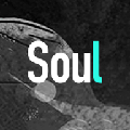 soul最新手机版app v1.1