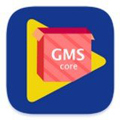 GMS安装器app v3.0