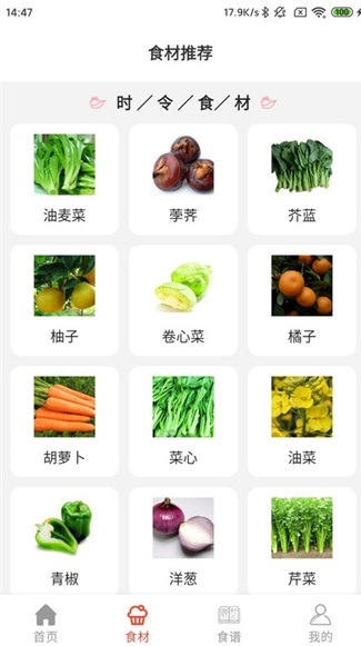 凯发菜谱app
